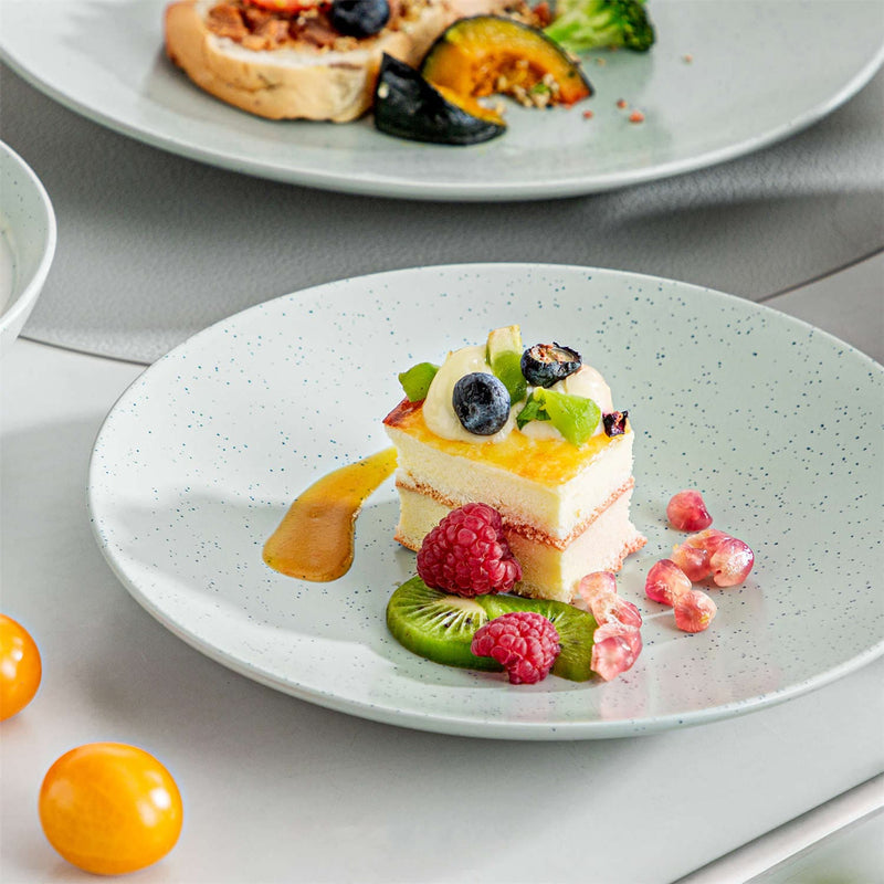 Sabine 16 Piece Dinnerware Set - Image 9