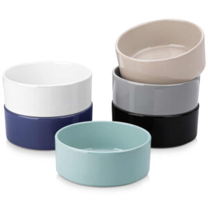Venus Glossy Cereal Bowls Set of 6