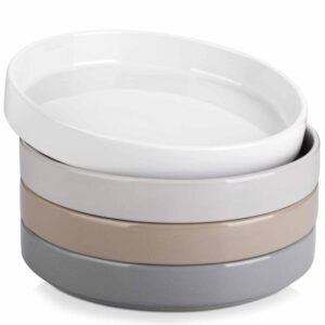 Venus Glossy Pasta Bowls Set of 4